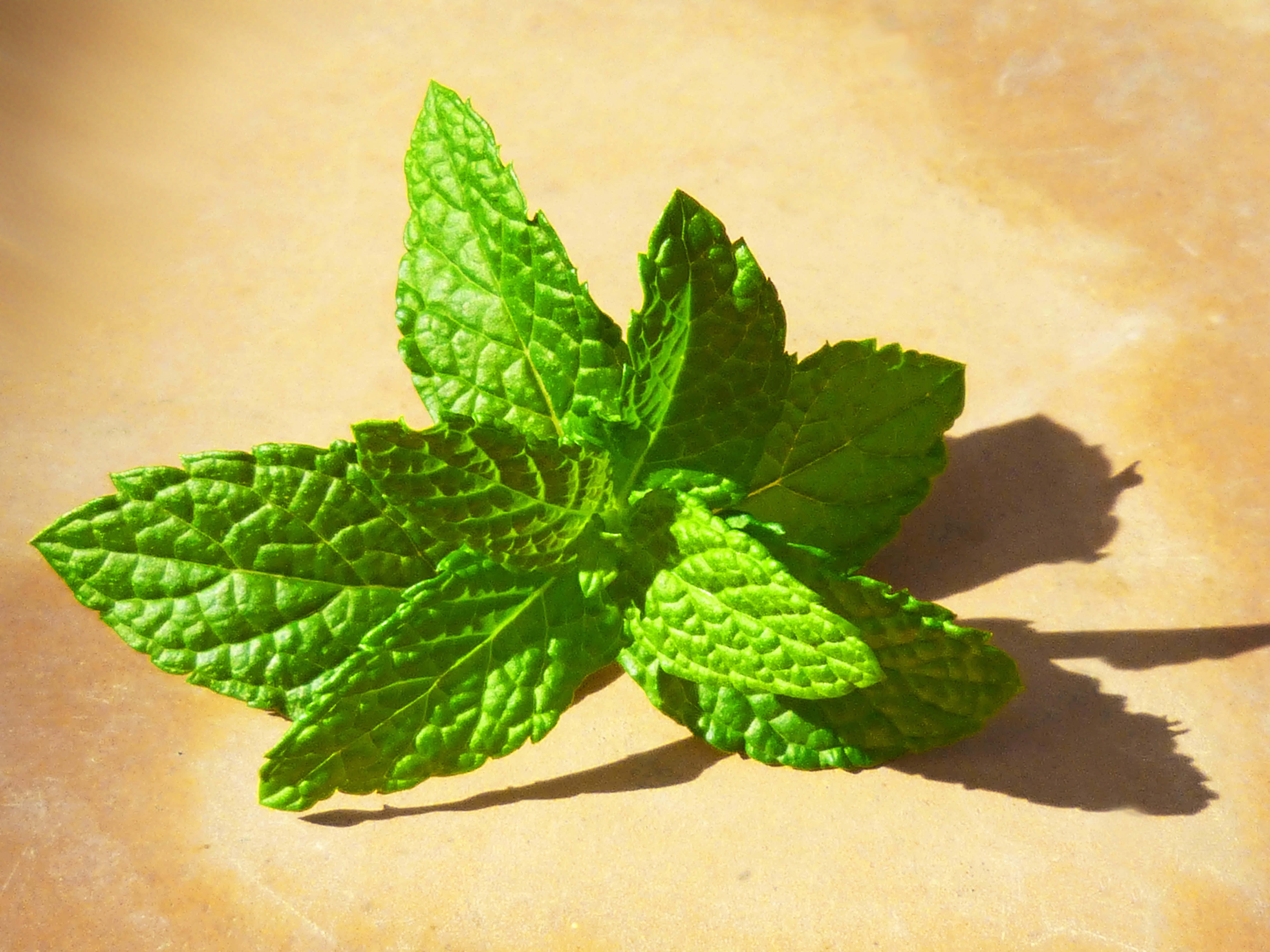 teeth whitening solutions with mint leaves