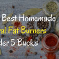 World's Best Homemade Natural Fat Burners under 5 Bucks