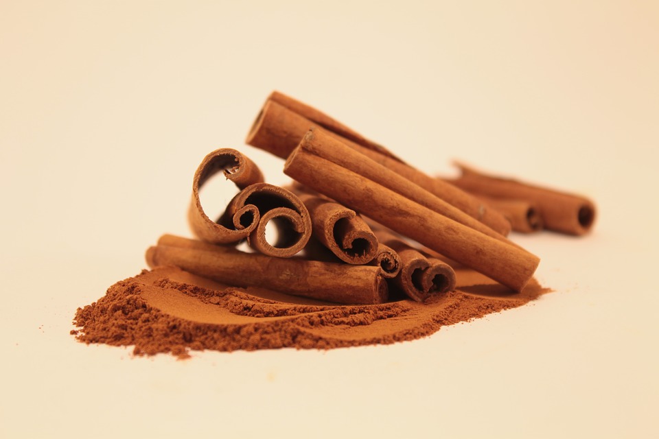 cinnamon diy lip plumper