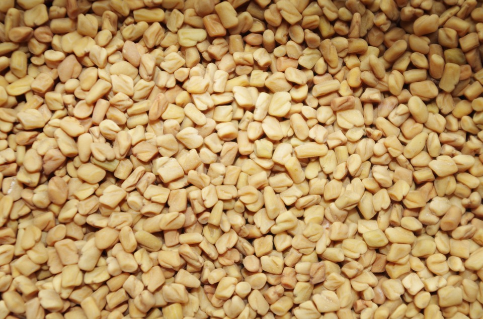 fenugreek seeds for hair growth