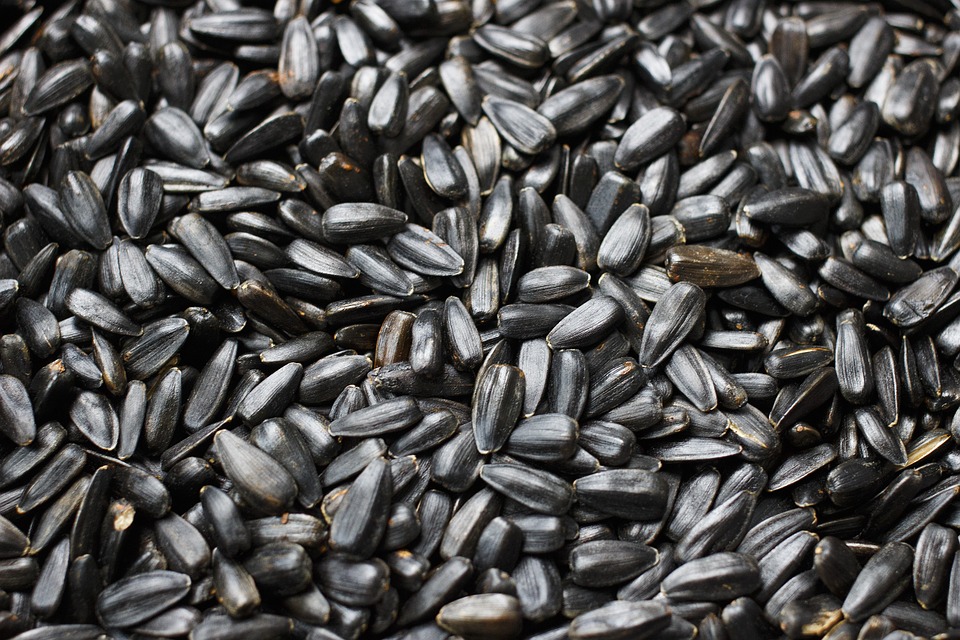 sunflower seeds for skin and hair