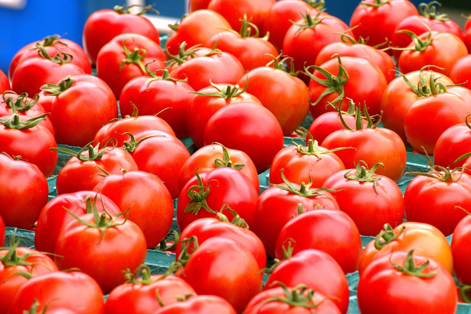 tomatoes for skin and hair
