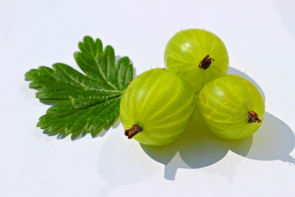 amla or Indian gooseberry and avocado hair mask