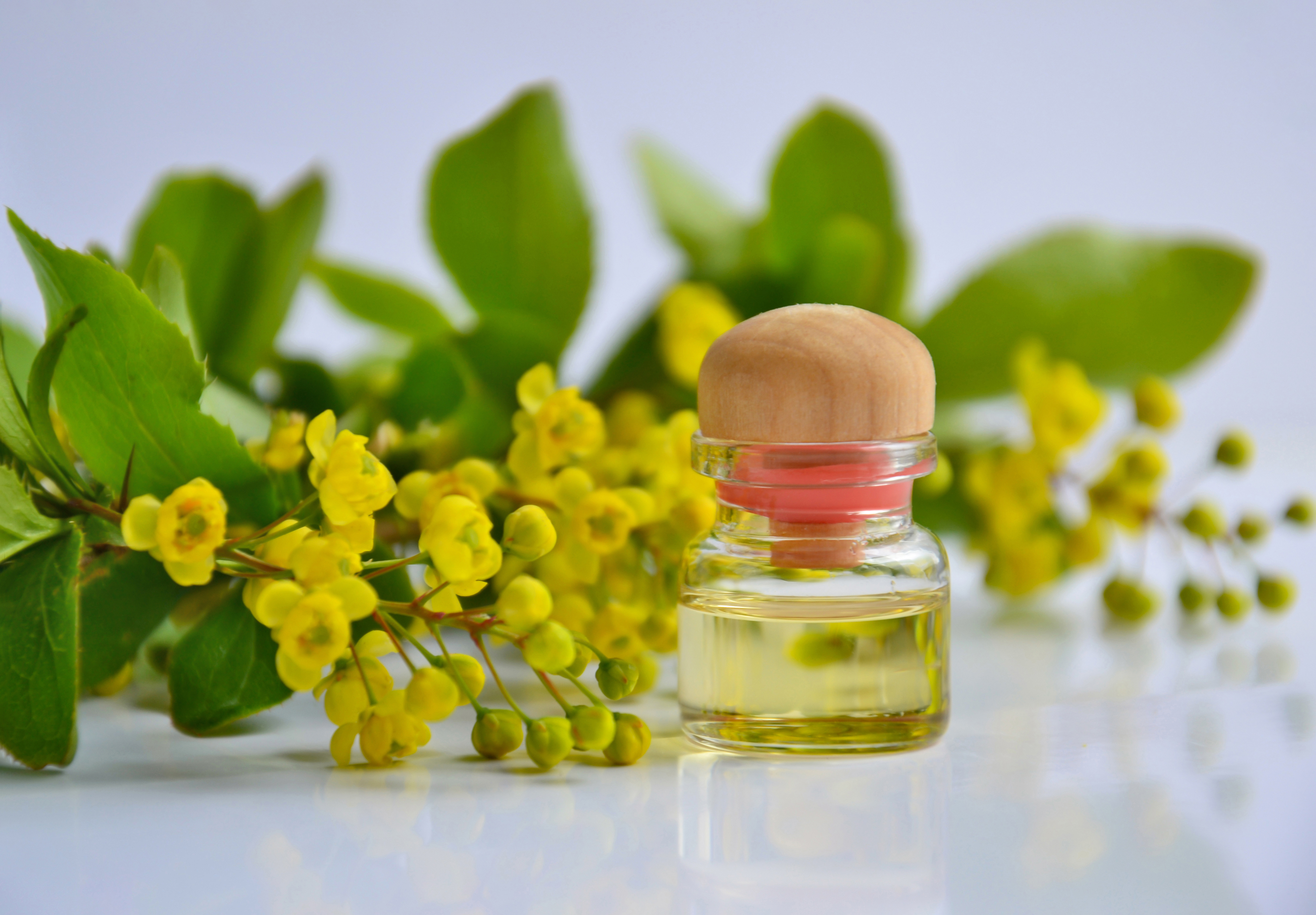 essential oils and avocado hair mask