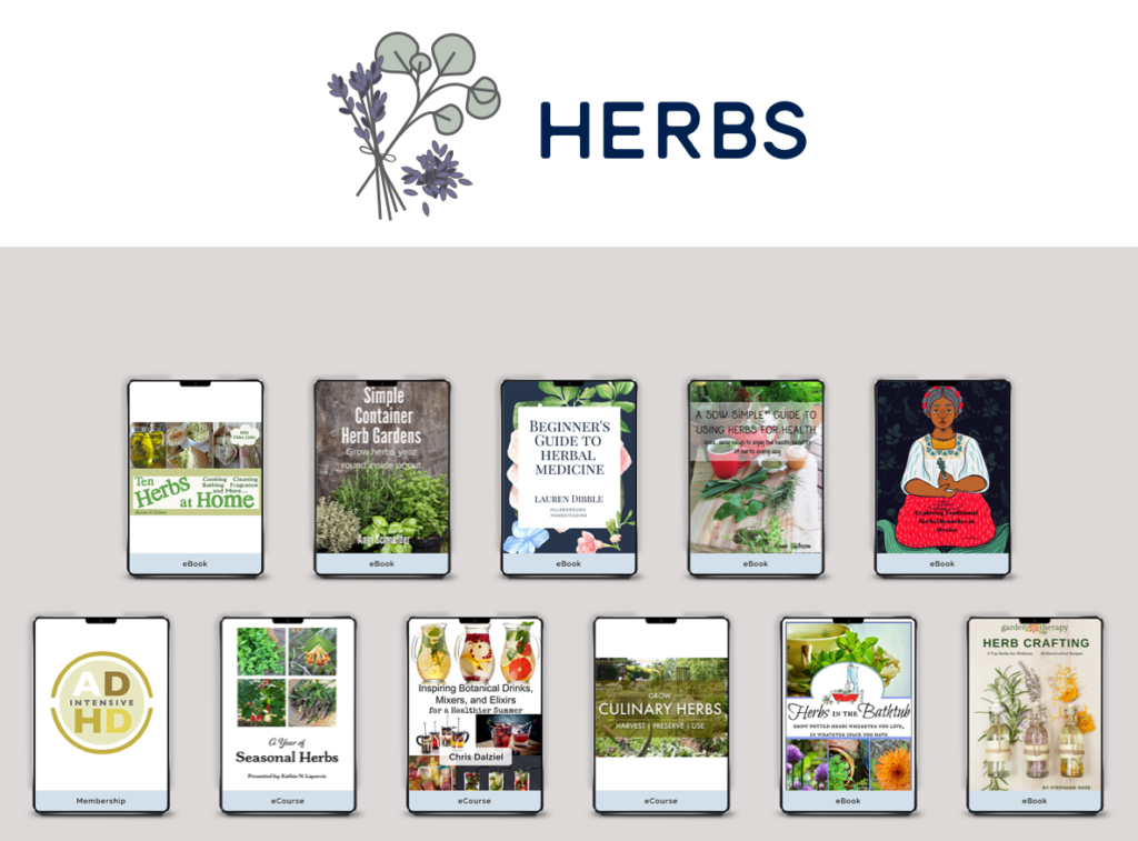 herbs bundle