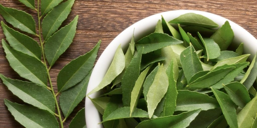 curry leaves to improve hair texture