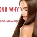 why your hair stopped growing