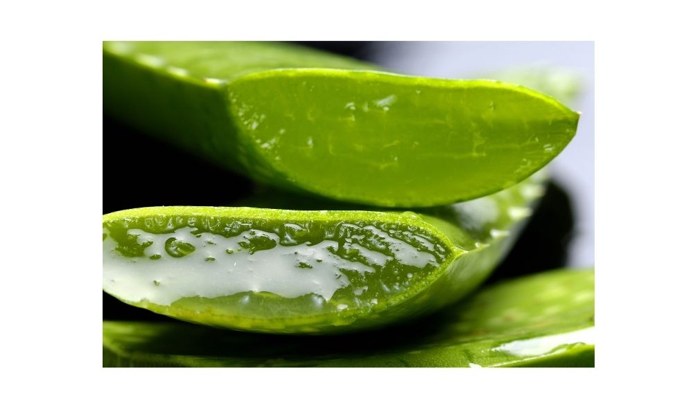 Aloe Vera For Preventing Chapped Lips