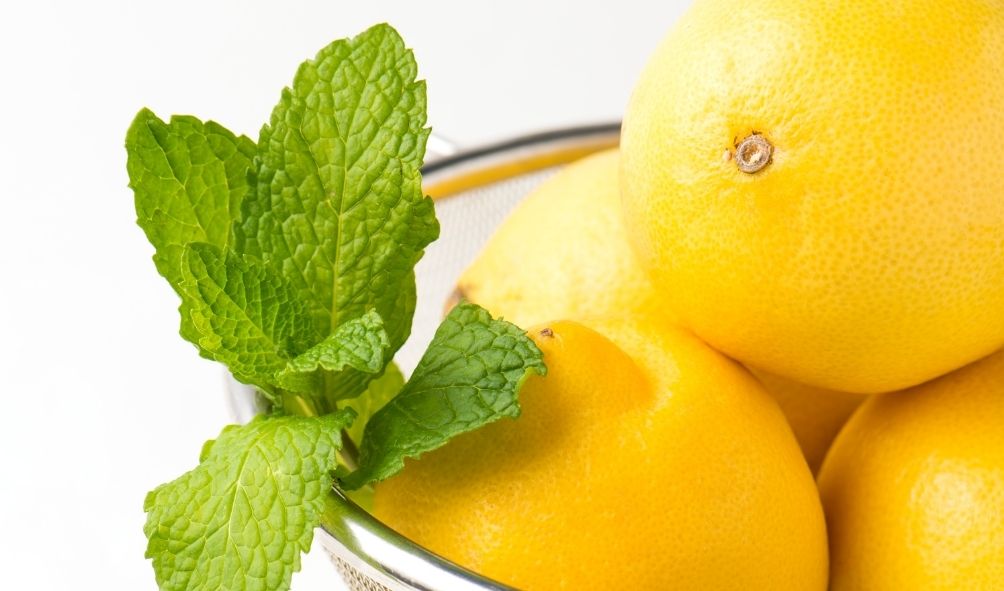 mint leaves and lemon hair mask